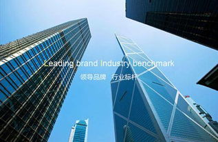 玻璃狗 自動(dòng)門玻璃鎖軟件開發(fā)的理想之選